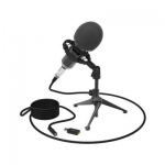 Студийный микрофон Ritmix RDM-160 черный